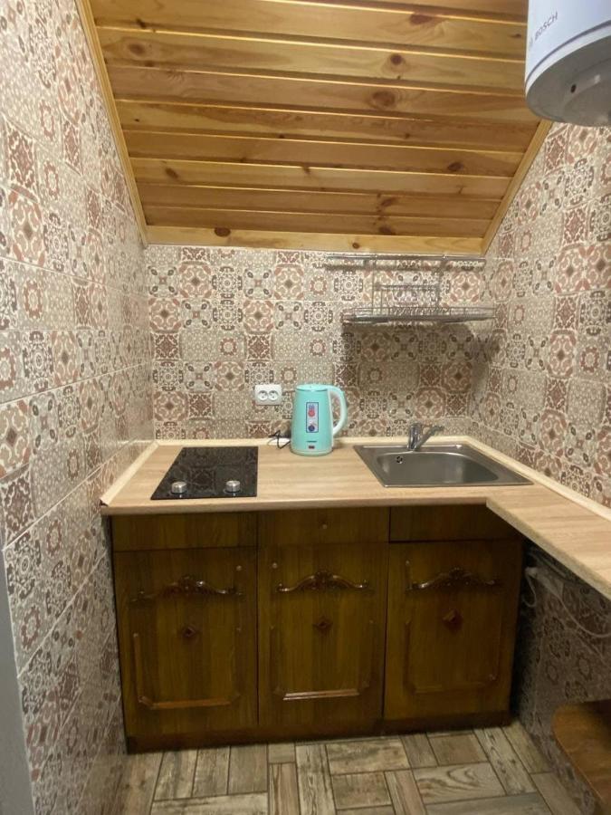 Apartment затишок в карпатах 1 Slavske